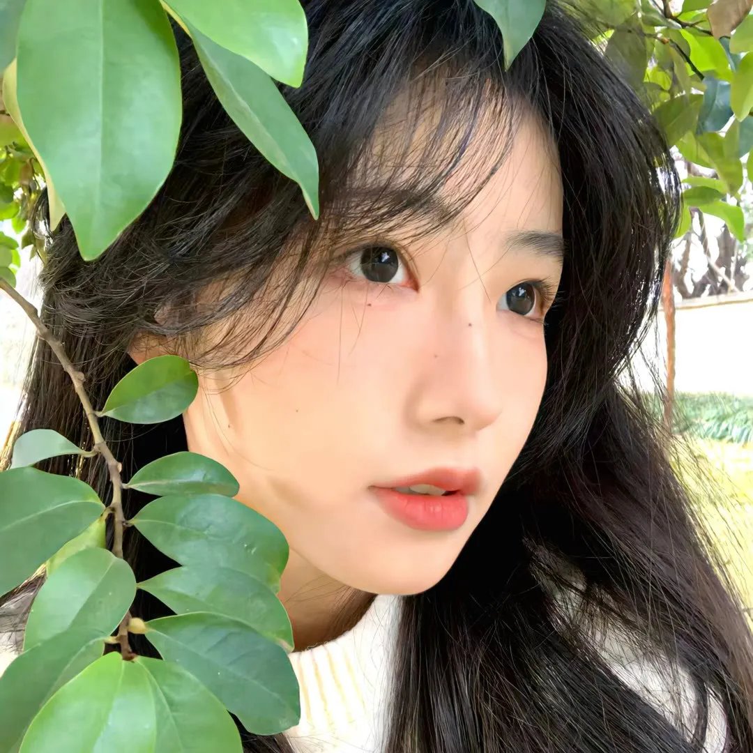 朕的刺客女友