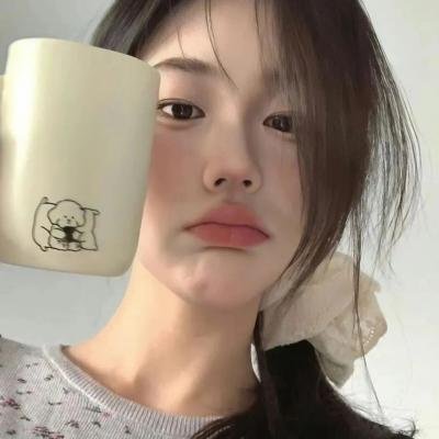 猫咪寻熊记